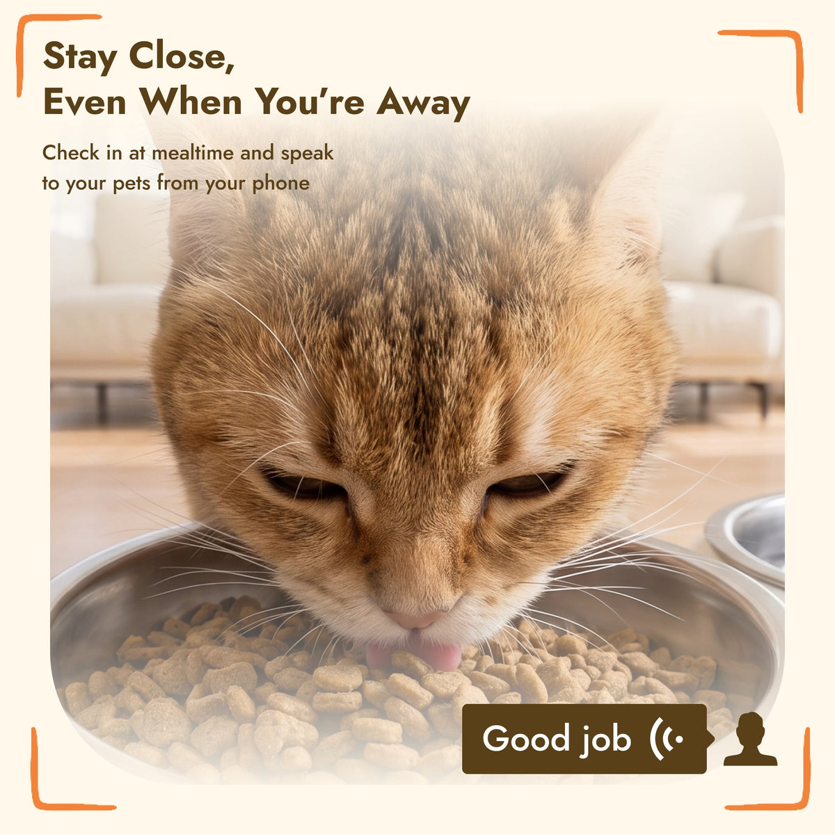 PawNora Smart Automatic Pet Feeder – 6L WiFi Feeder with 1080P Camera