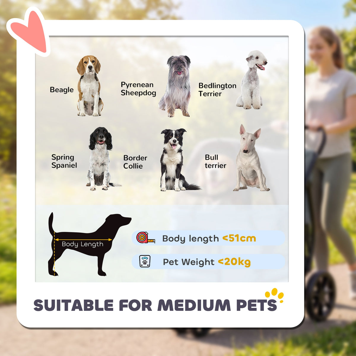 PawNora Foldable Dog Stroller – All-Terrain Pet Pram with Spacious Cabin