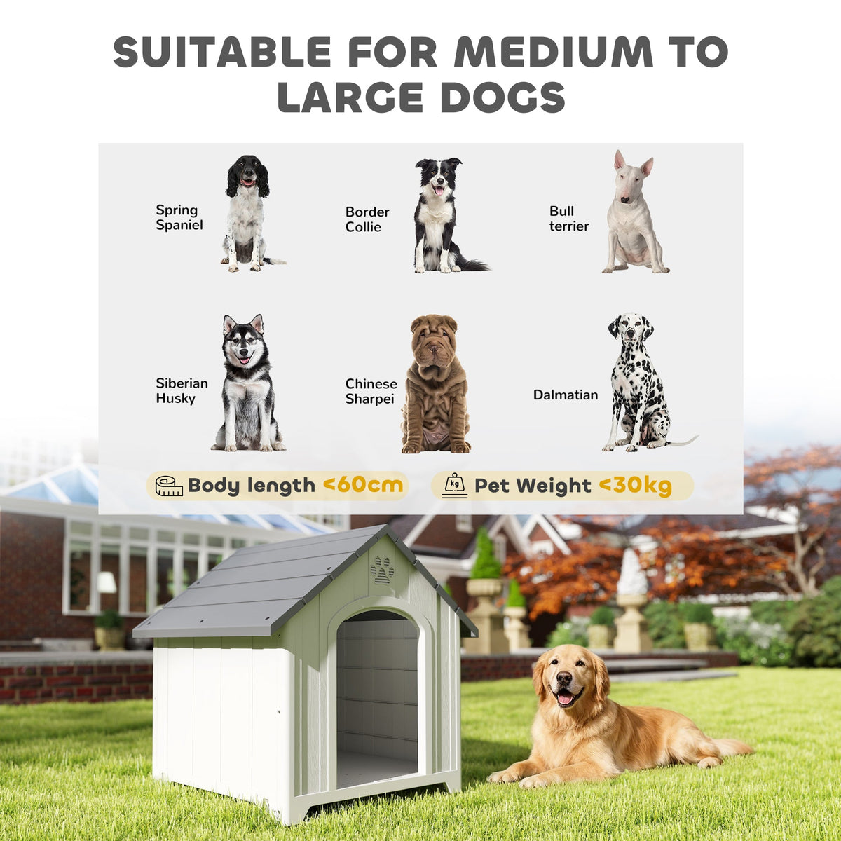 PawNora Large Outdoor Dog House – Reinforced PP Shelter with Raised Base