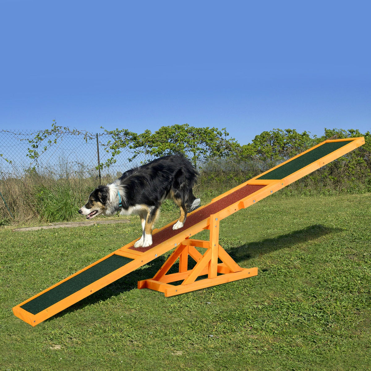 PawNora Wooden Dog Agility Seesaw – Outdoor Training &amp; Exercise Equipment