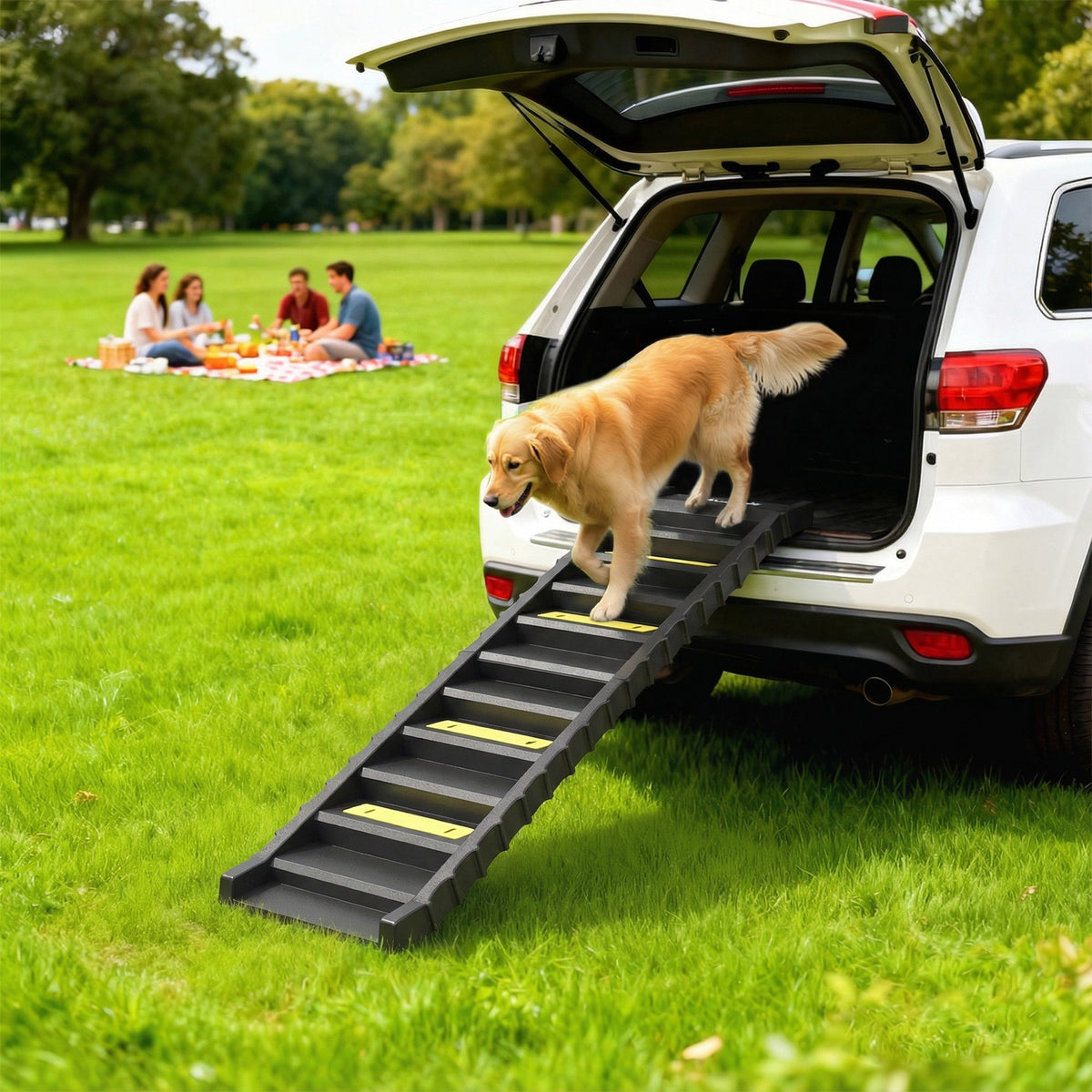 PawNora Foldable Dog Car Ramp – 10-Step Non-Slip Pet Ramp for Cars &amp; Beds