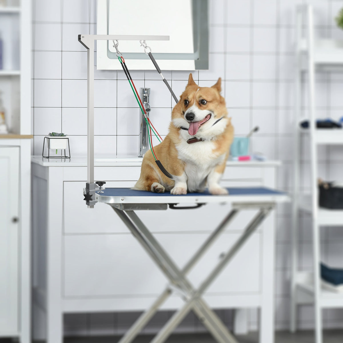 PawNora Adjustable Dog Grooming Arm – Foldable Stainless Steel Grooming Stand