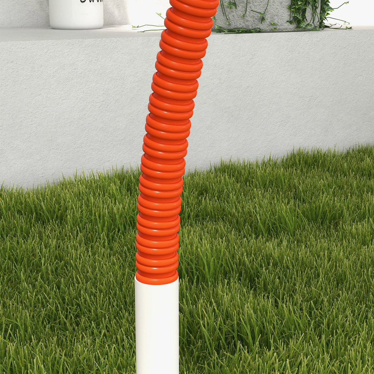 PawNora Dog Agility Training Set – 4-Piece Outdoor Exercise &amp; Training Equipment