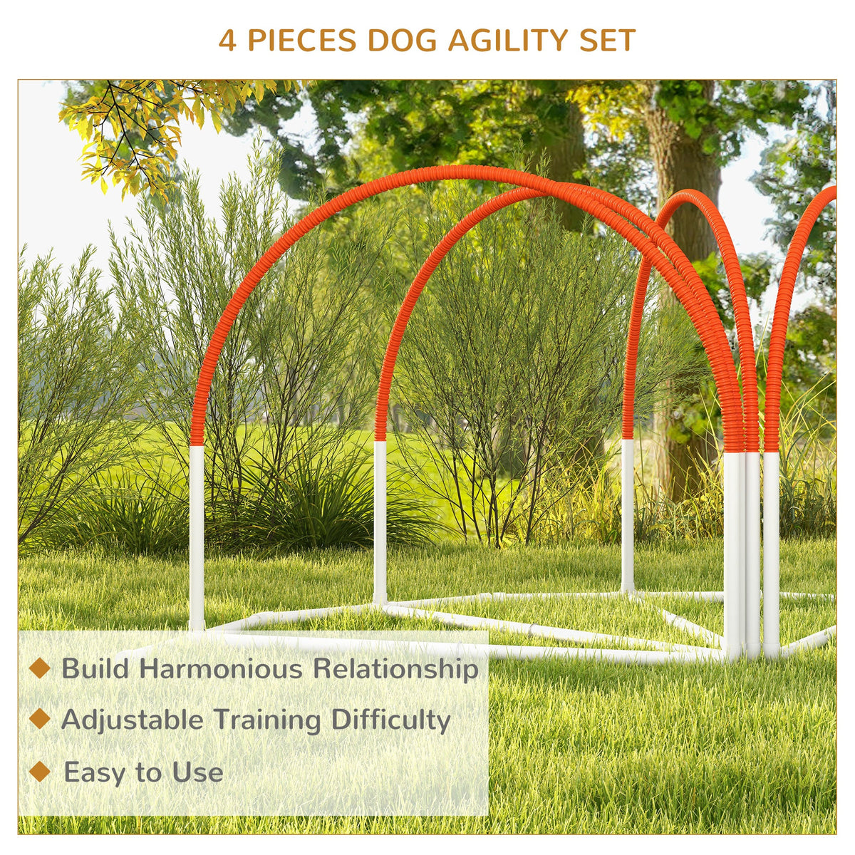 PawNora Dog Agility Training Set – 4-Piece Outdoor Exercise &amp; Training Equipment