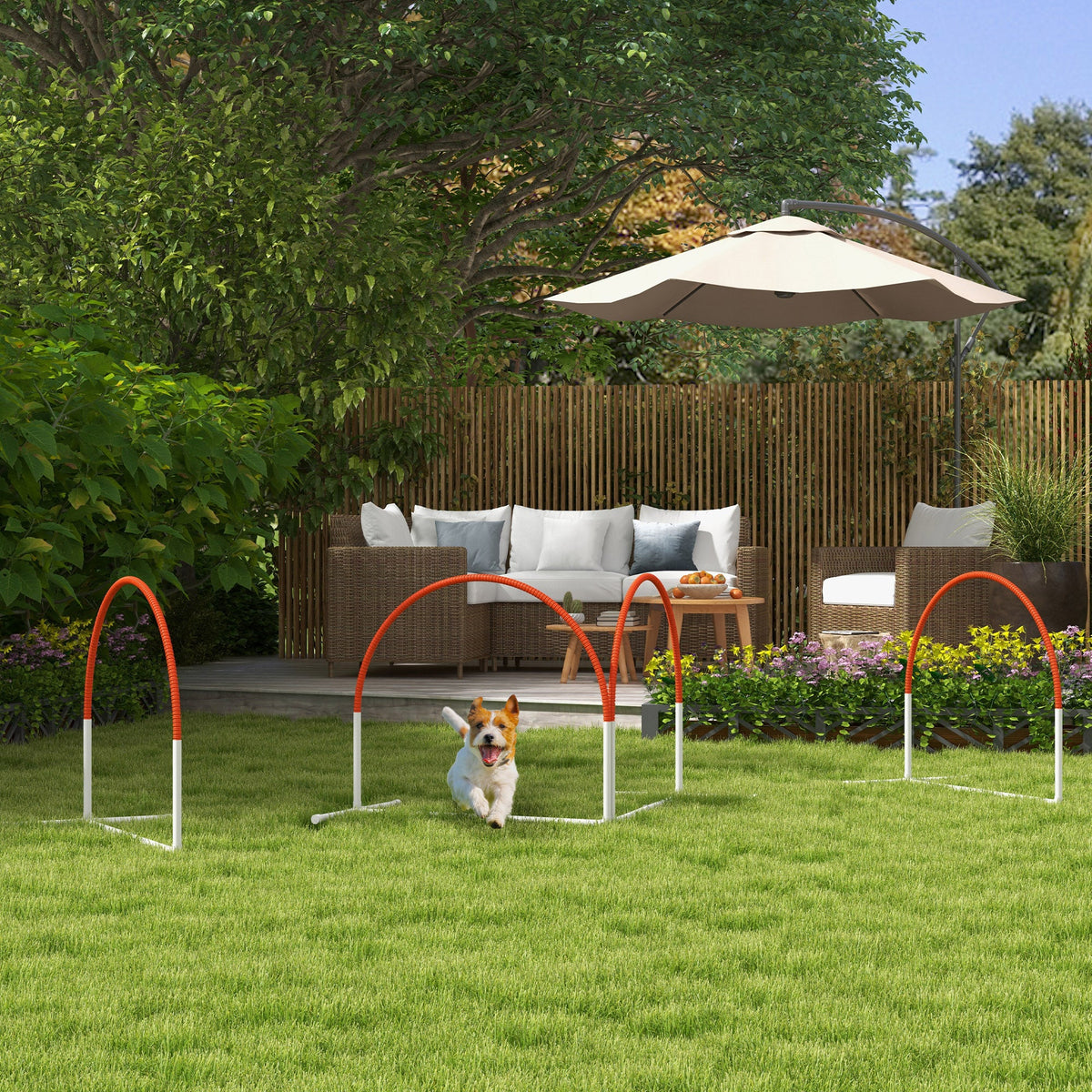 PawNora Dog Agility Training Set – 4-Piece Outdoor Exercise &amp; Training Equipment