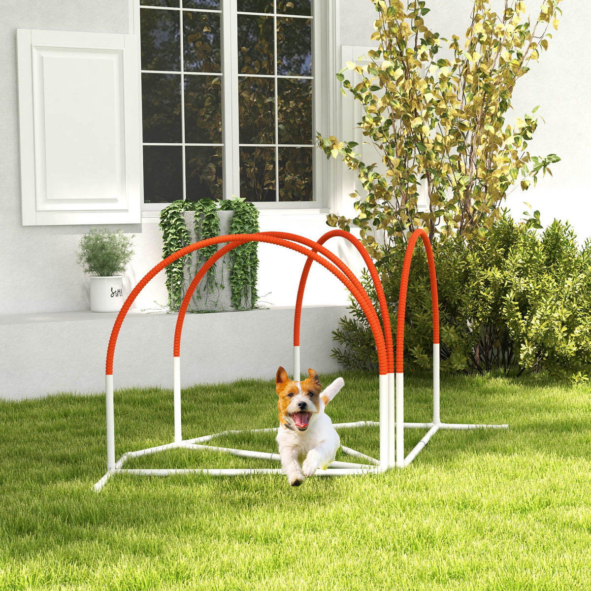 PawNora Dog Agility Training Set – 4-Piece Outdoor Exercise &amp; Training Equipment