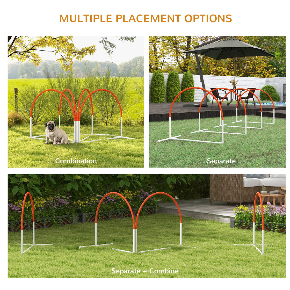 PawNora Dog Agility Training Set – 4-Piece Outdoor Exercise &amp; Training Equipment