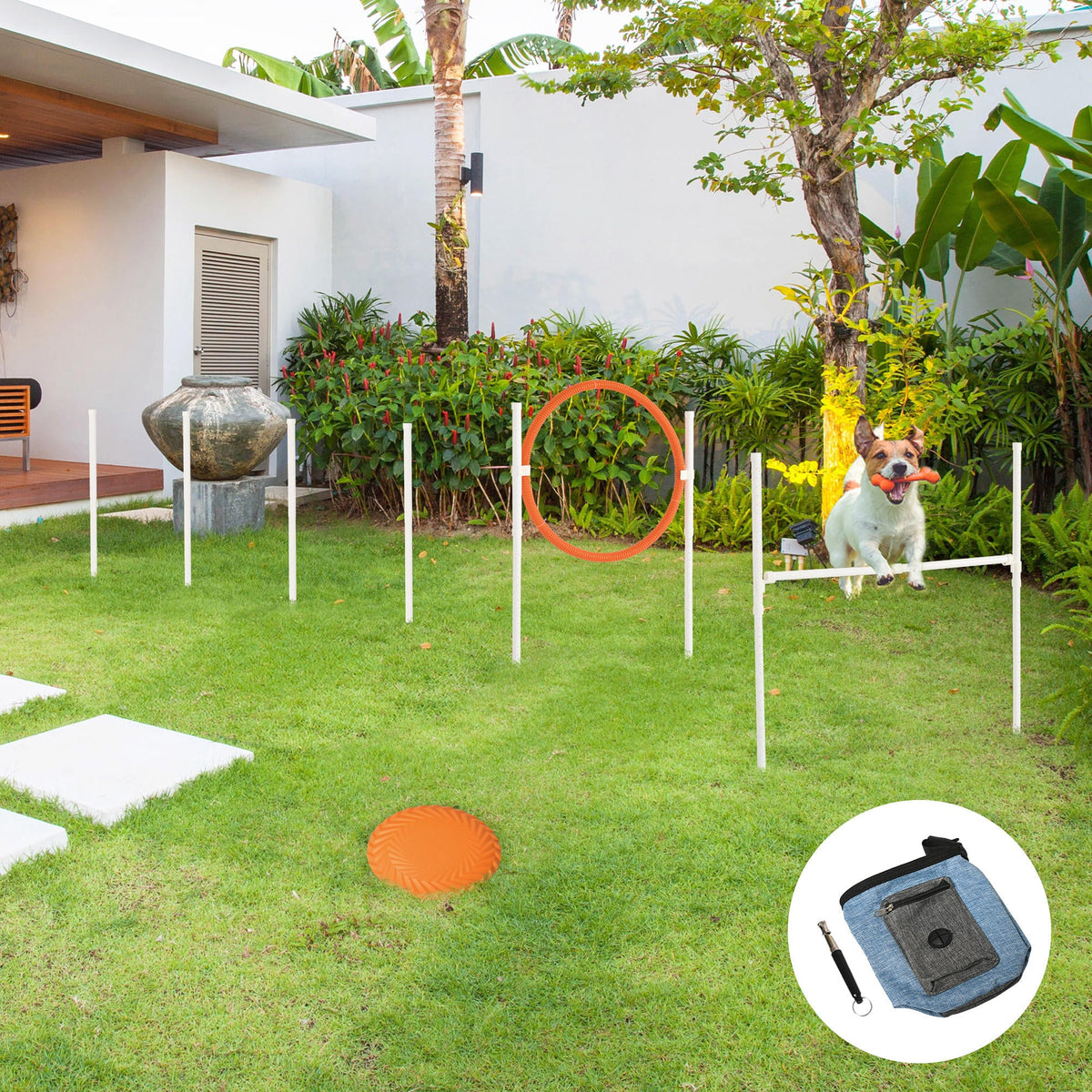 PawNora 5-Piece Dog Agility Training Set – Adjustable Hurdle, Jump Ring &amp; Weave Poles