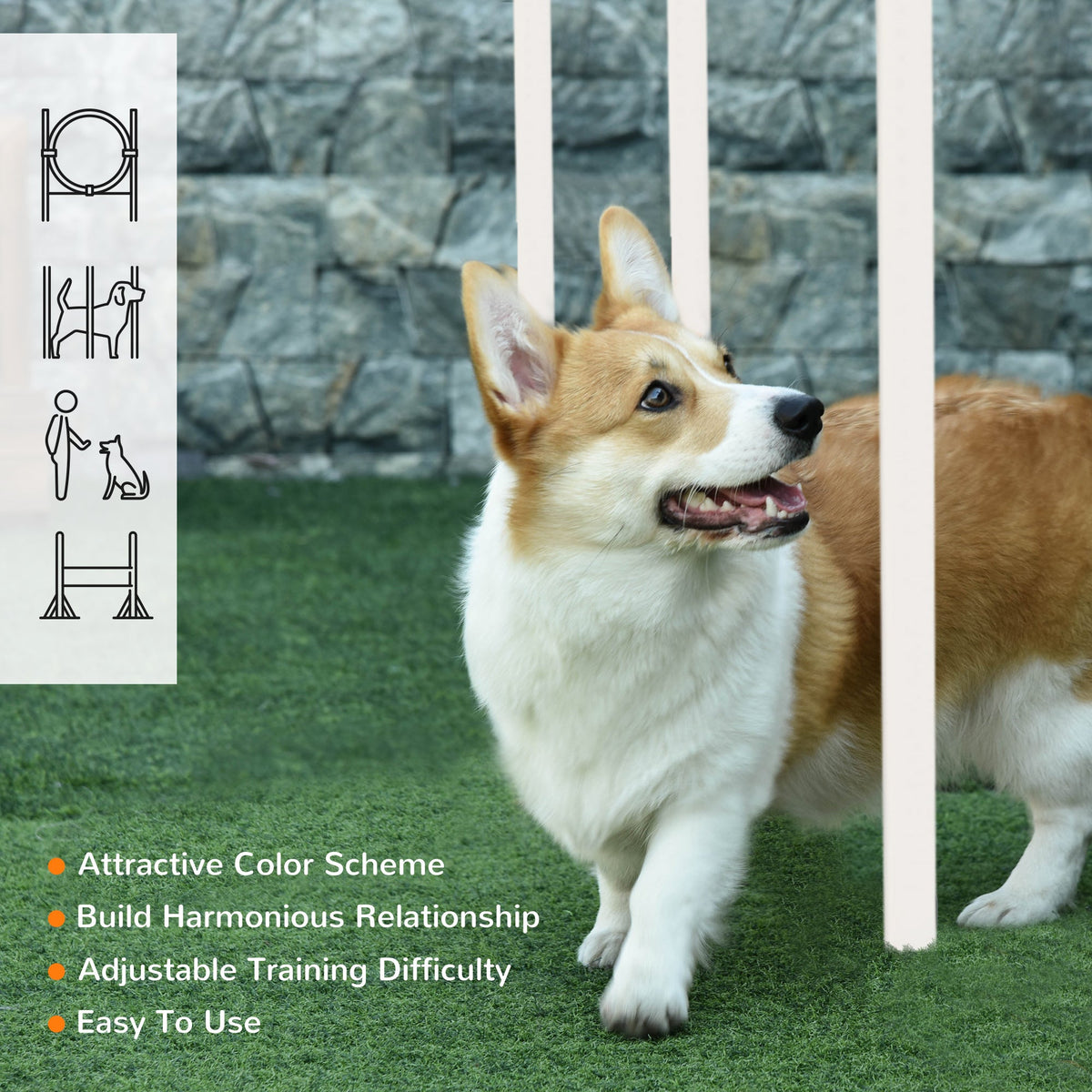 PawNora 5-Piece Dog Agility Training Set – Adjustable Hurdle, Jump Ring &amp; Weave Poles
