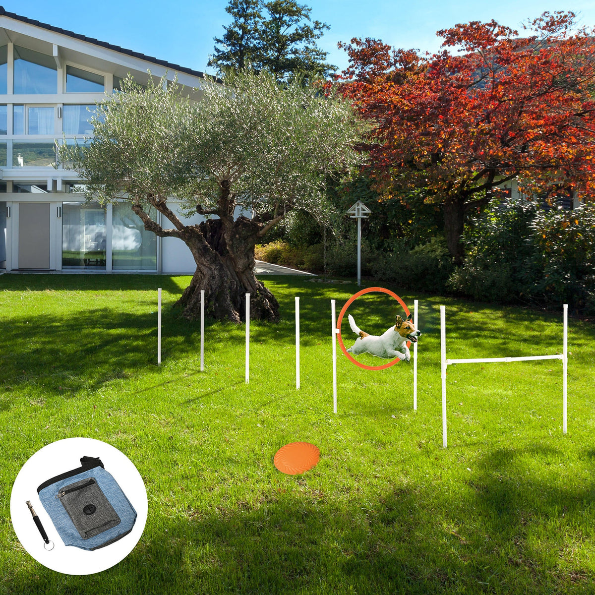 PawNora 5-Piece Dog Agility Training Set – Adjustable Hurdle, Jump Ring &amp; Weave Poles