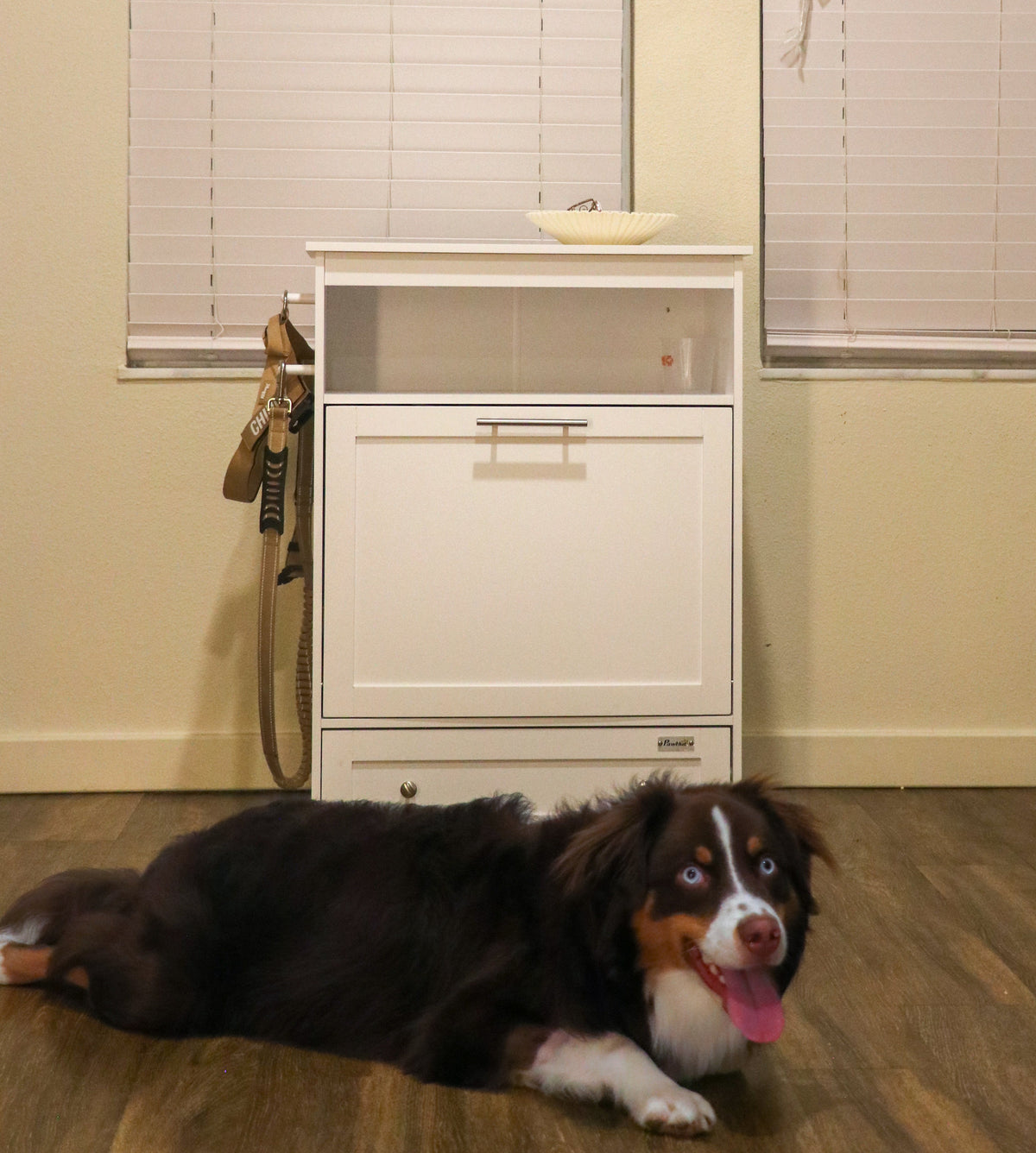 PawNora Furniture-Style Pet Feeding Station – Elevated Bowls &amp; Smart Storage