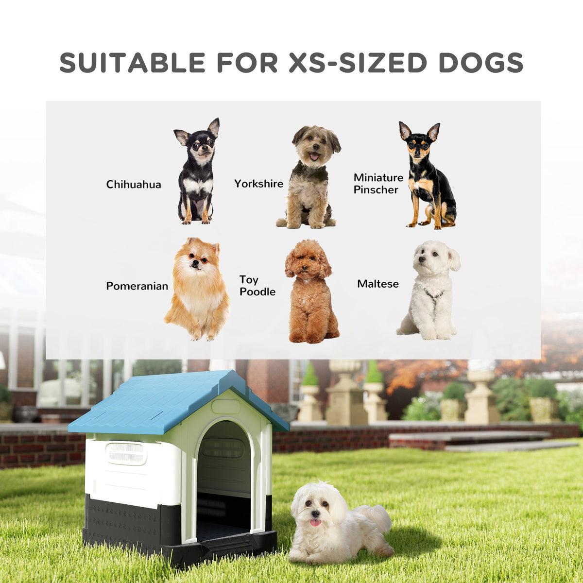 PawNora Outdoor Dog House – Raised Shelter with Slanted Roof &amp; Ventilation
