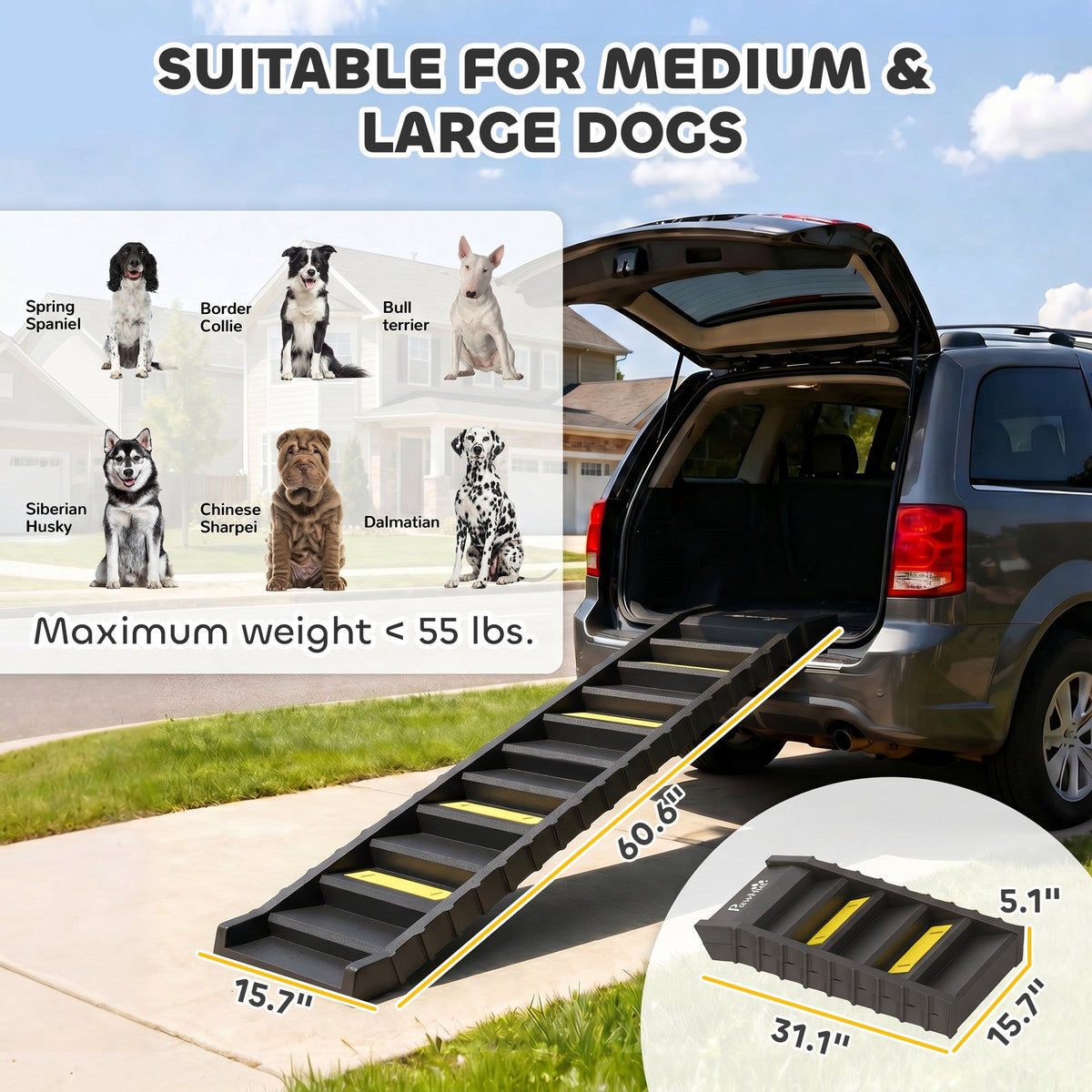 PawNora Foldable Dog Car Ramp – 10-Step Non-Slip Pet Ramp for Cars &amp; Beds