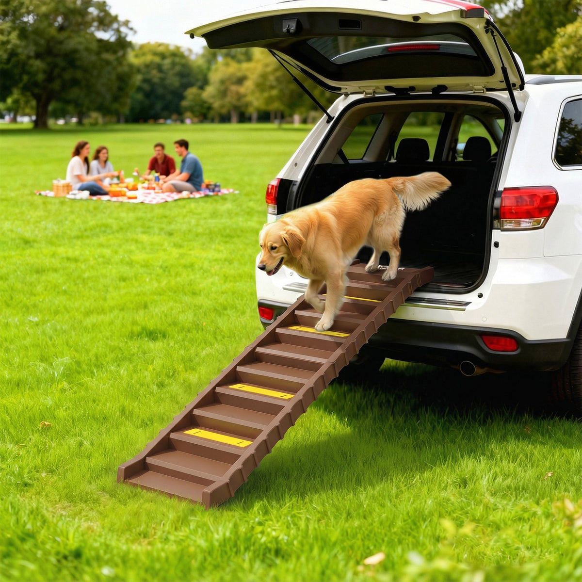 PawNora Foldable Dog Car Ramp – 10-Step Non-Slip Pet Ramp for Cars &amp; Beds