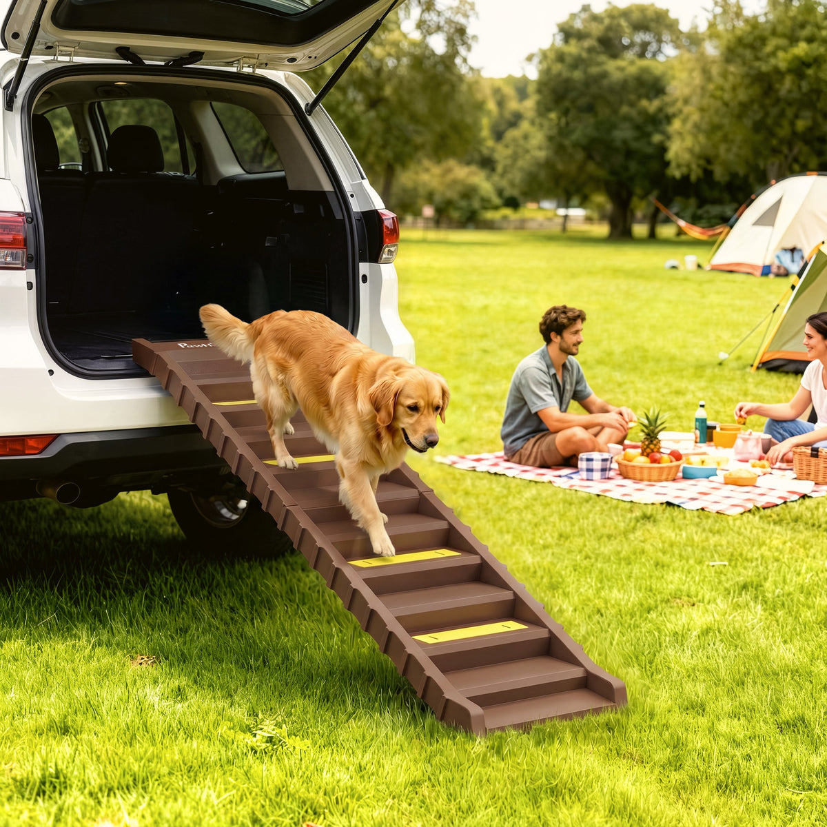 PawNora Foldable Dog Car Ramp – 10-Step Non-Slip Pet Ramp for Cars &amp; Beds