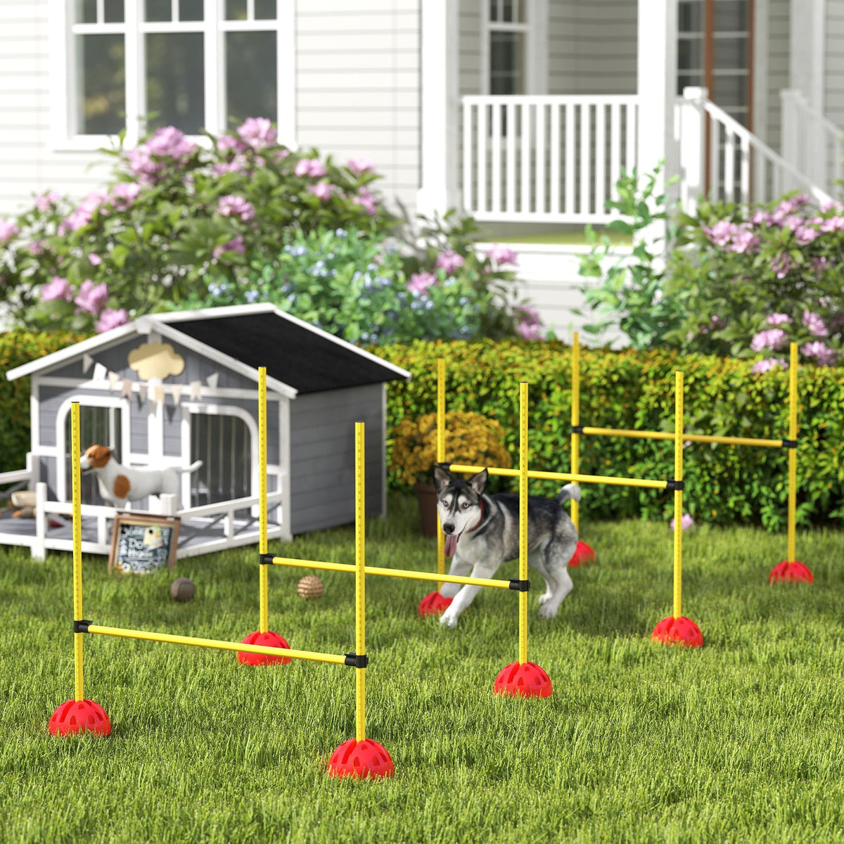 PawNora 4-Piece Adjustable Dog Agility Jump Set – Portable Training Equipment
