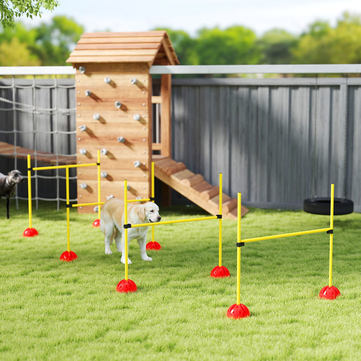 PawNora 4-Piece Adjustable Dog Agility Jump Set – Portable Training Equipment
