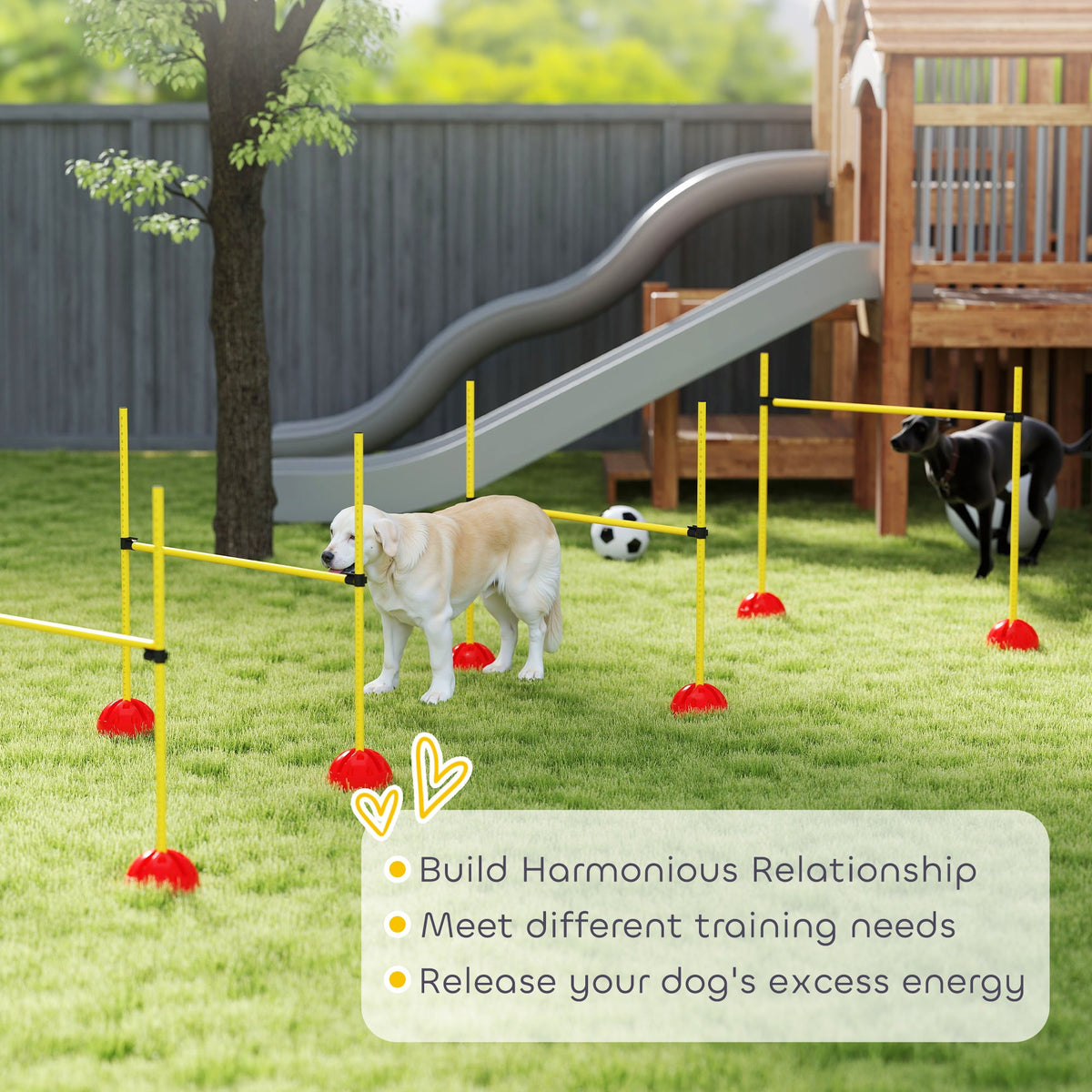 PawNora 4-Piece Adjustable Dog Agility Jump Set – Portable Training Equipment