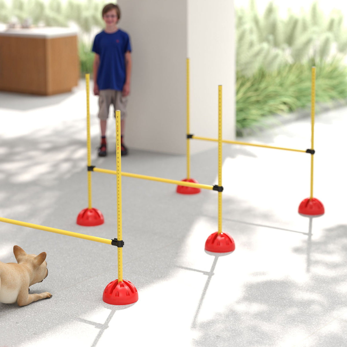 PawNora 4-Piece Adjustable Dog Agility Jump Set – Portable Training Equipment