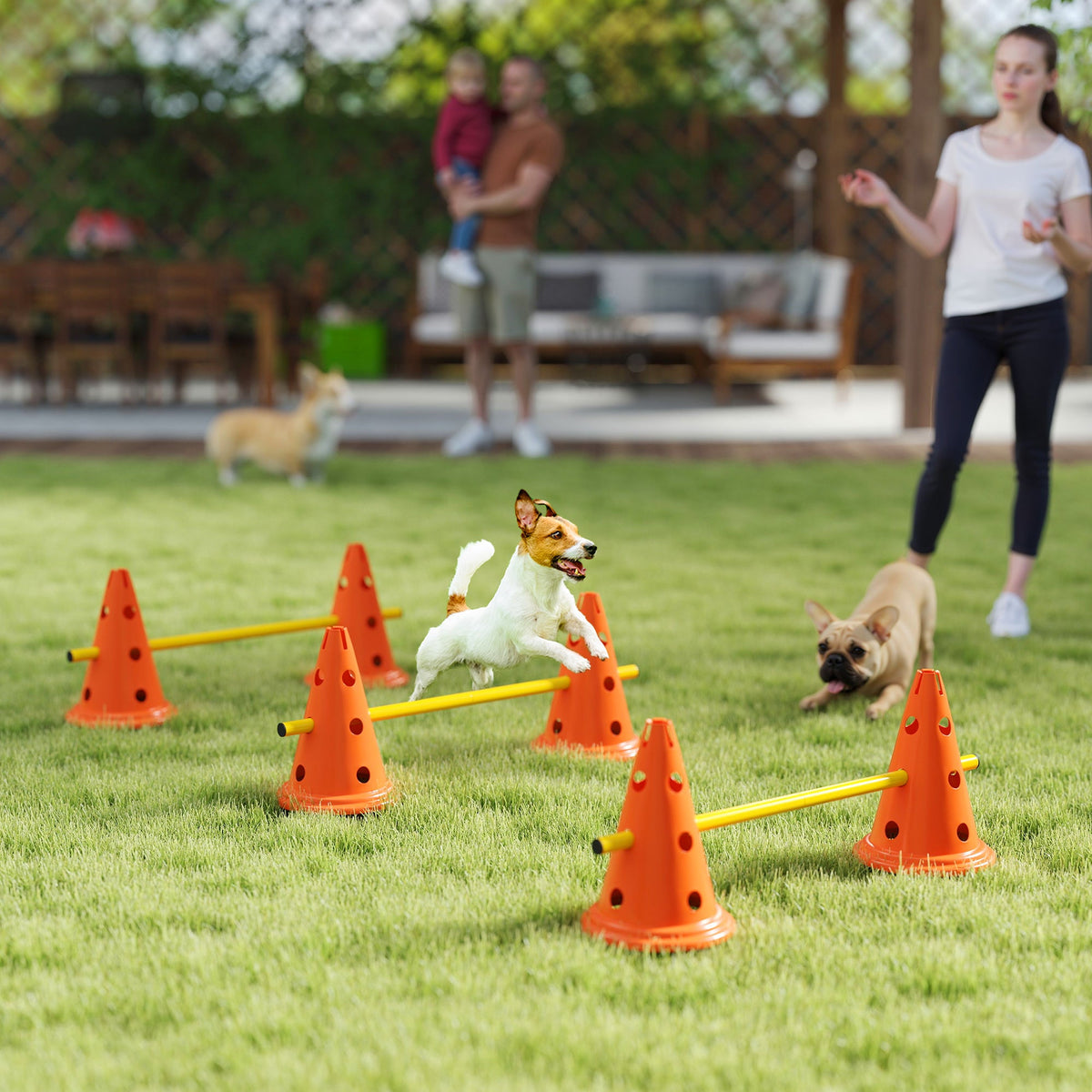 PawNora 3-Piece Dog Agility Training Set – Adjustable Jumps &amp; Portable Equipment