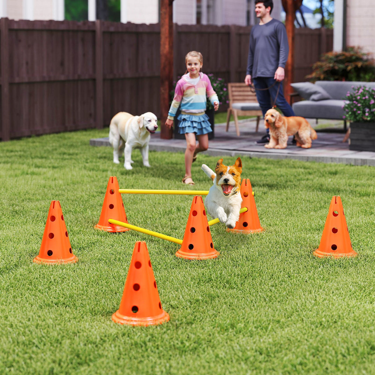 PawNora 3-Piece Dog Agility Training Set – Adjustable Jumps &amp; Portable Equipment