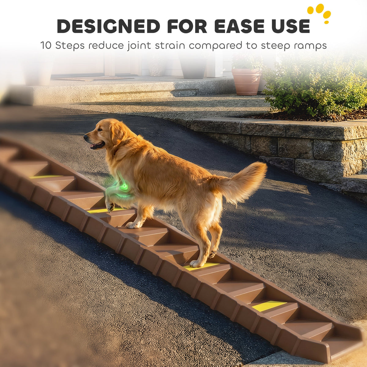 PawNora Foldable Dog Car Ramp – 10-Step Non-Slip Pet Ramp for Cars &amp; Beds