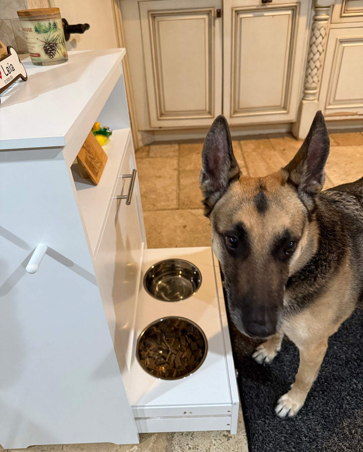 PawNora Furniture-Style Pet Feeding Station – Elevated Bowls &amp; Smart Storage
