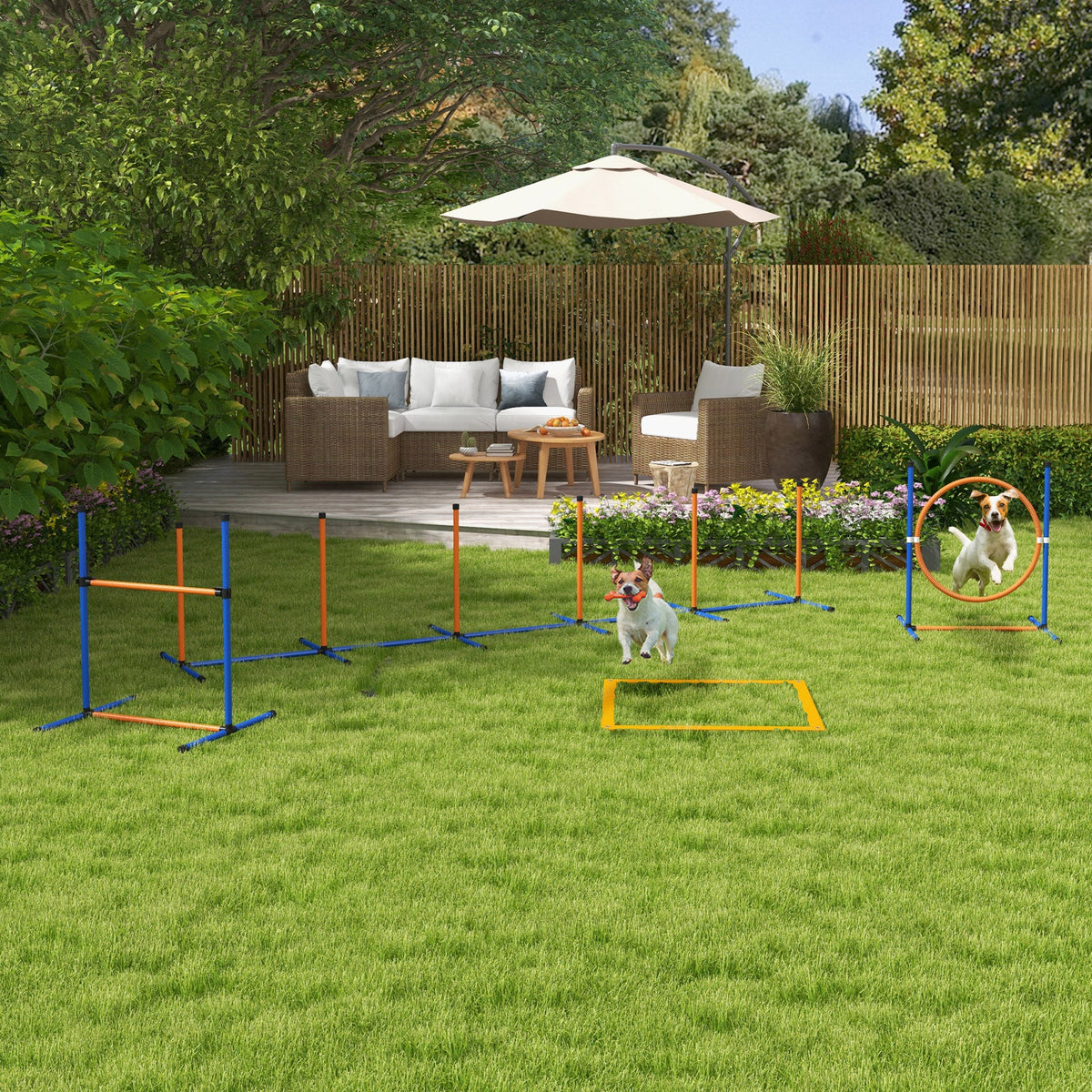 PawNora Dog Agility Training Set – Weave Poles, Hurdle, Jumping Ring &amp; Pause Box