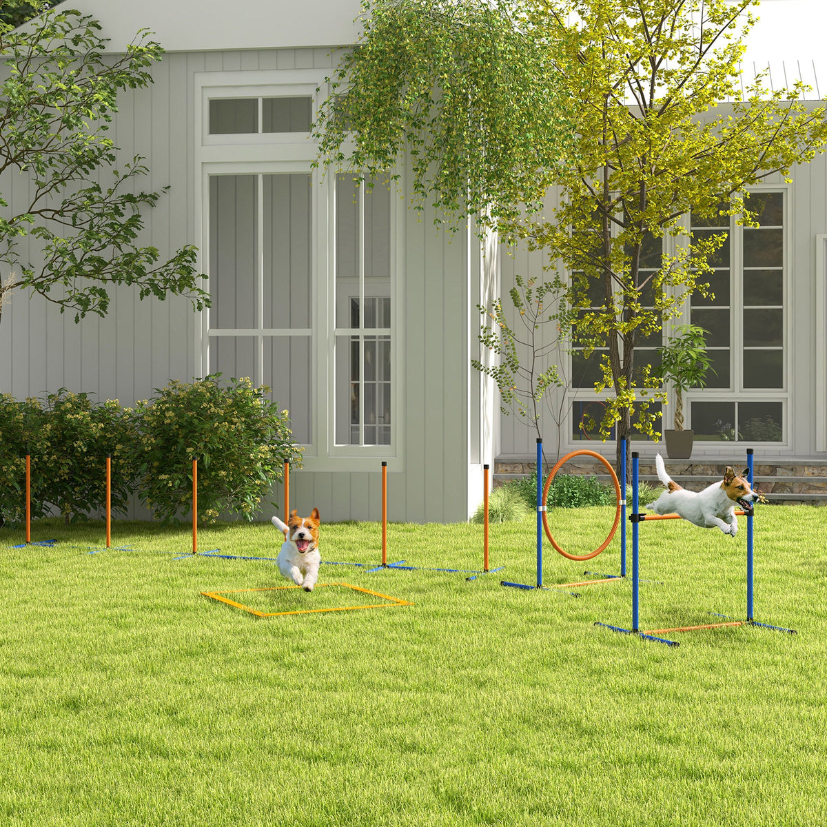 PawNora Dog Agility Training Set – Weave Poles, Hurdle, Jumping Ring &amp; Pause Box