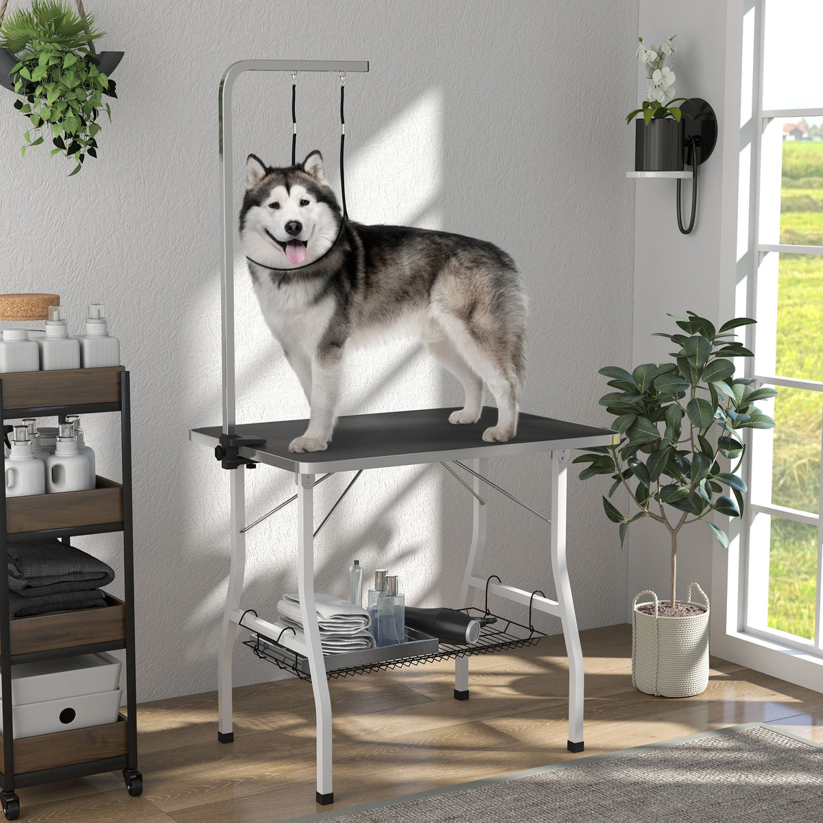 PawNora Adjustable Dog Grooming Table – Foldable with Storage Shelves