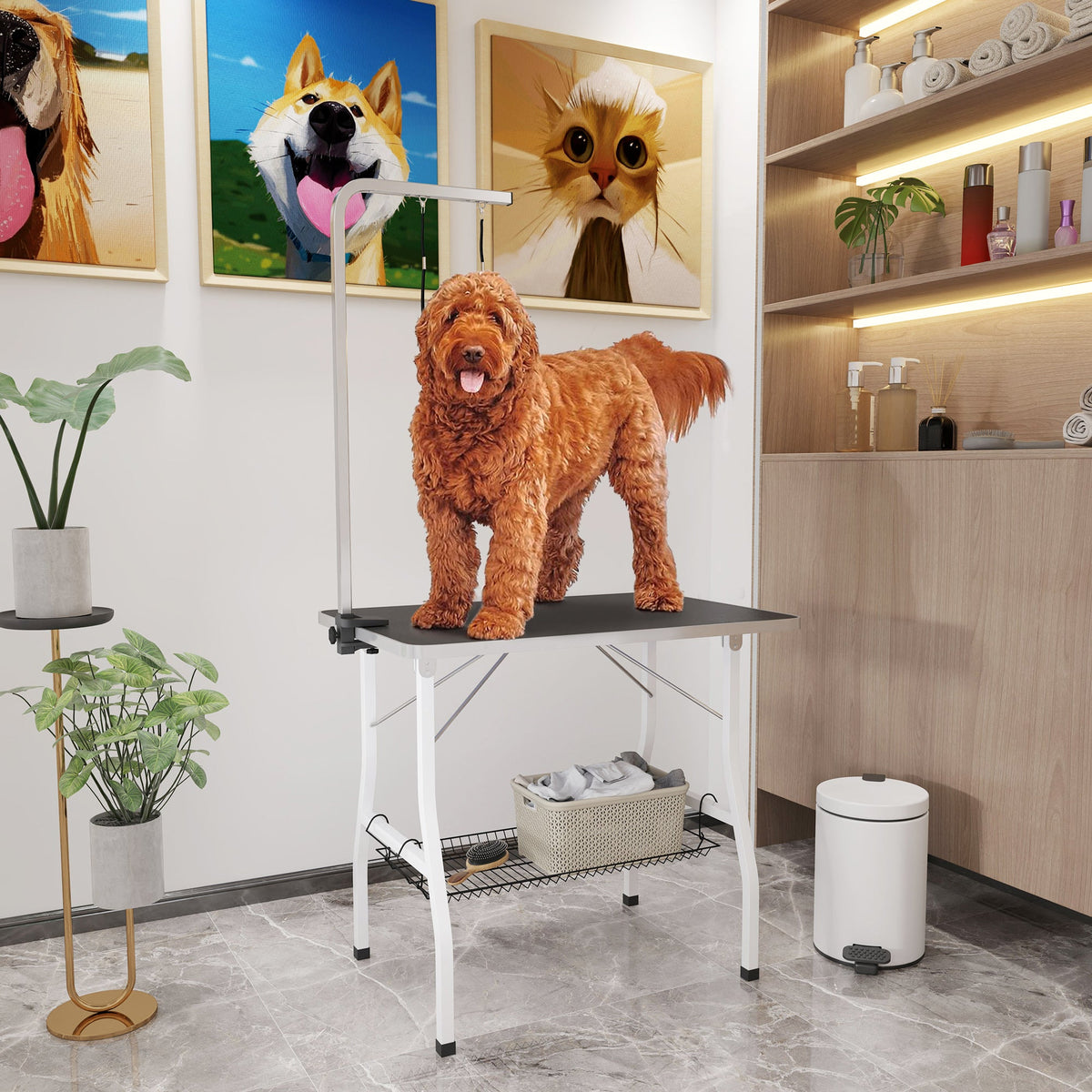 PawNora Adjustable Dog Grooming Table – Foldable with Storage Shelves