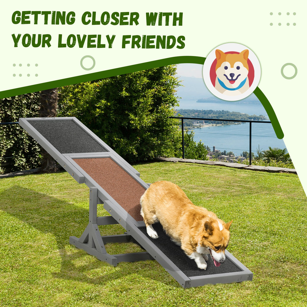 PawNora Dog Agility Seesaw – Wooden Training &amp; Exercise Equipment