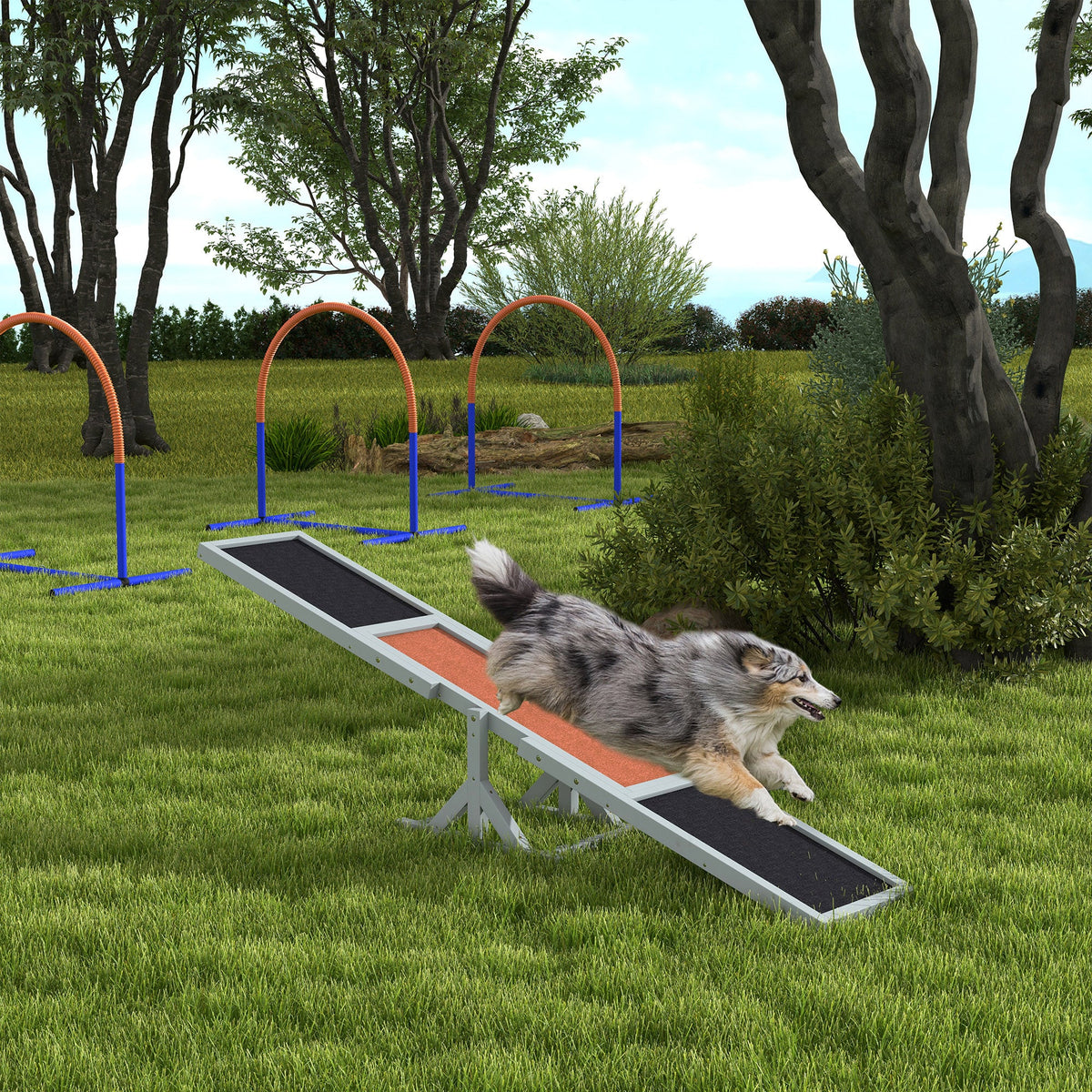 PawNora Dog Agility Seesaw – Wooden Training &amp; Exercise Equipment