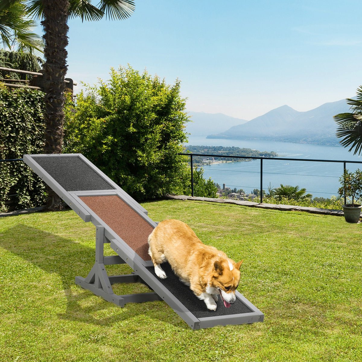 PawNora Dog Agility Seesaw – Wooden Training &amp; Exercise Equipment