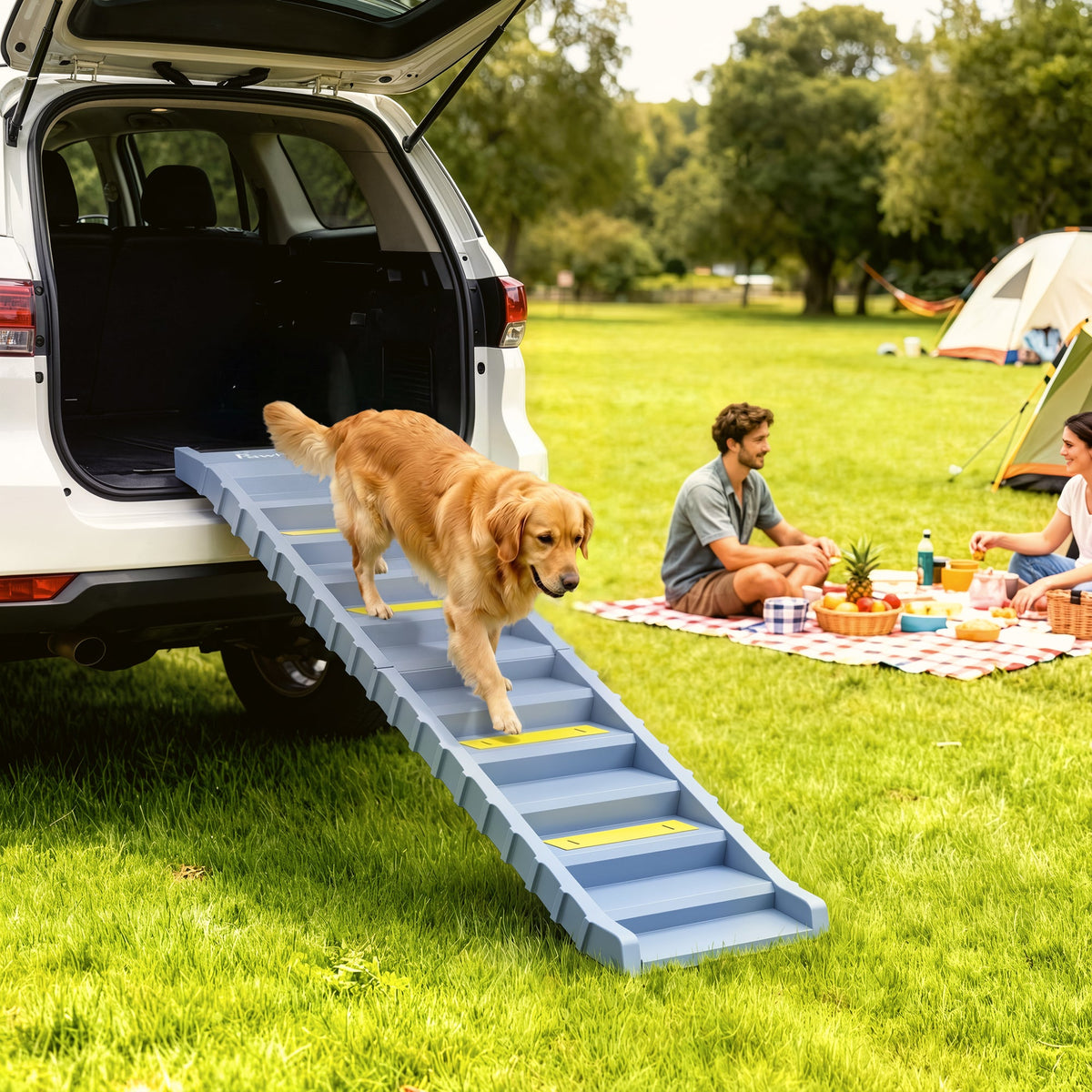 PawNora Foldable Dog Car Ramp – Non-Slip Pet Stairs for Cars &amp; Beds