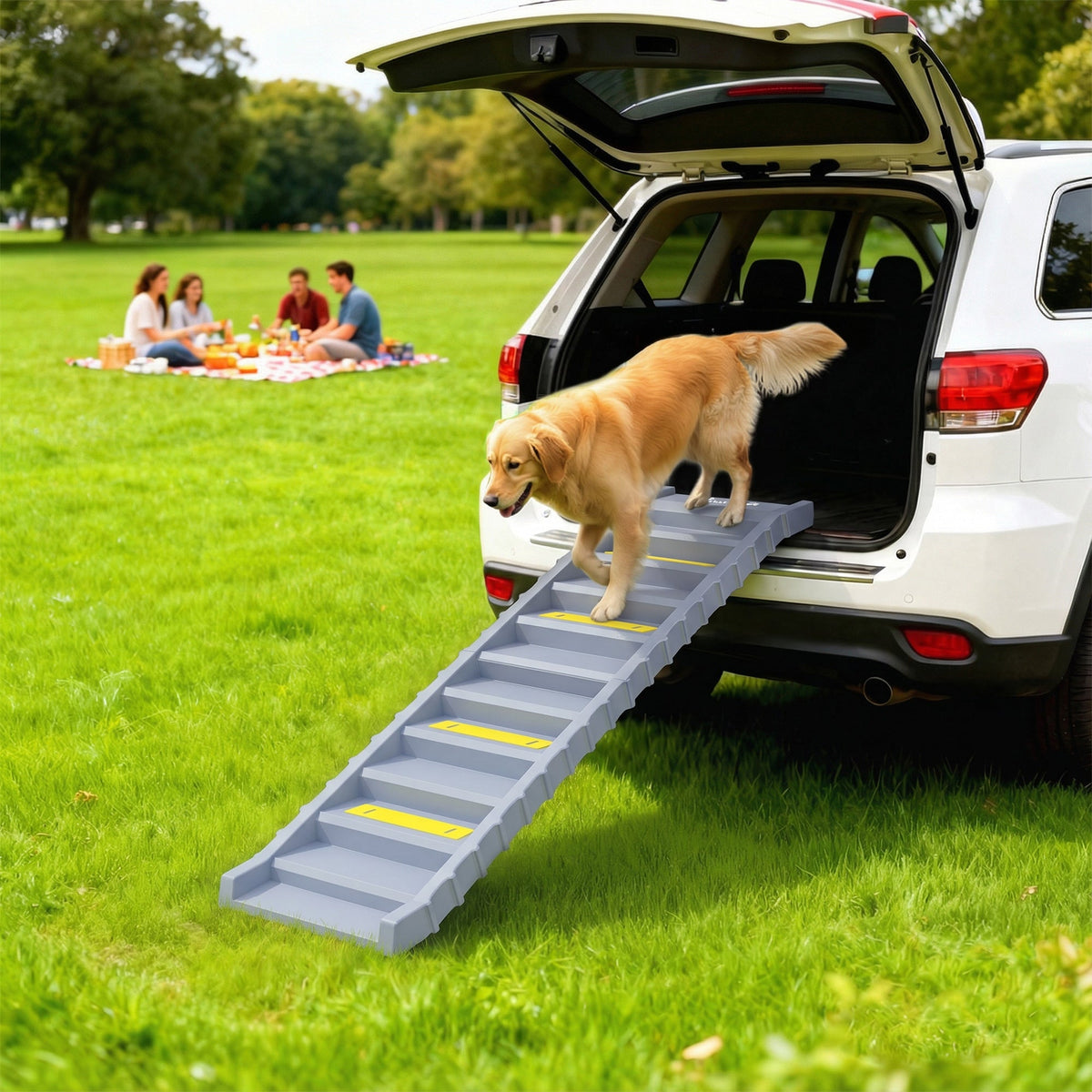 PawNora Foldable Dog Car Ramp – Non-Slip Pet Stairs for Cars &amp; Beds