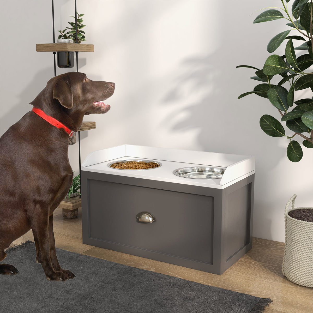 PawNora Elevated Dog Feeder – 2 Stainless Steel Bowls with Storage Drawer