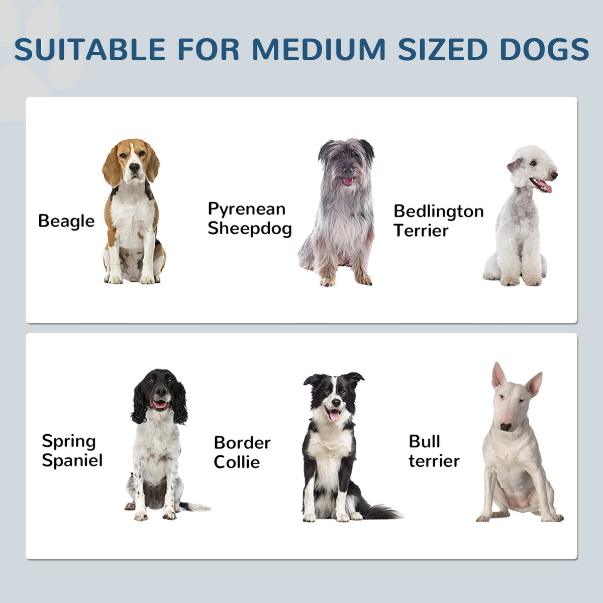 PawNora Dog Feeding Station – Hidden Bowls with Food Storage Cabinet